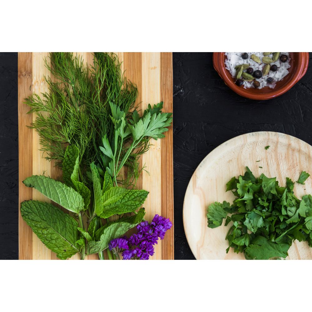 Dried culinary herbs like basil, thyme, and oregano for home cooking and sauces – SB Spices