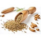 Whole caraway seeds with sweet, peppery aroma – ideal for breads, vegetables, and savory dishes – SB Spices